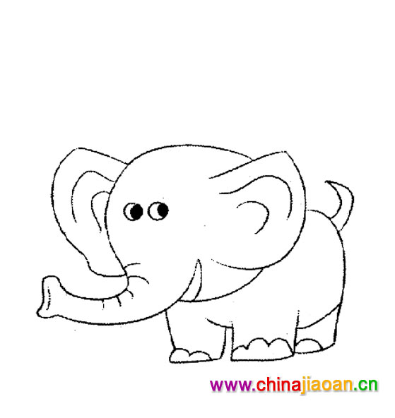 �׶���ʻ�ͼƬ��һֻ���ֵĴ���