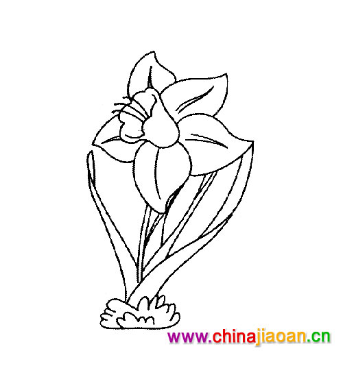 ʢ����������_�׶���ʻ�2