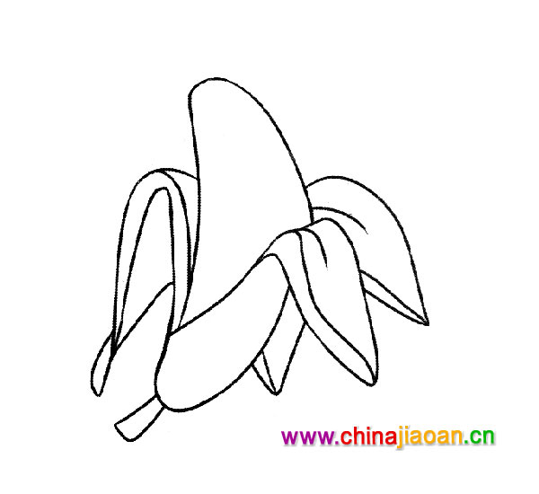 �������㽶���׶���ʻ���