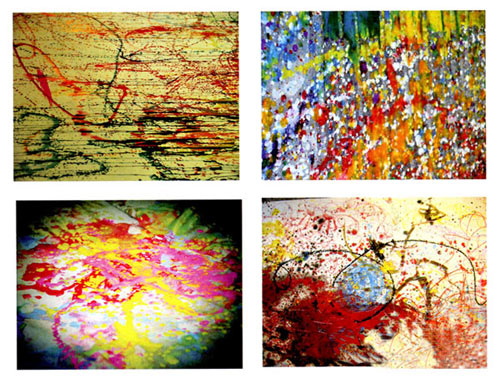 �׶�԰С�������̰���ɫ�������ɫС��������