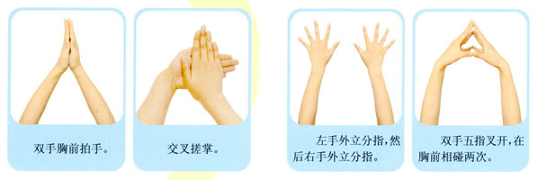 �׶�԰��ָ���ɲٽ̰���С����